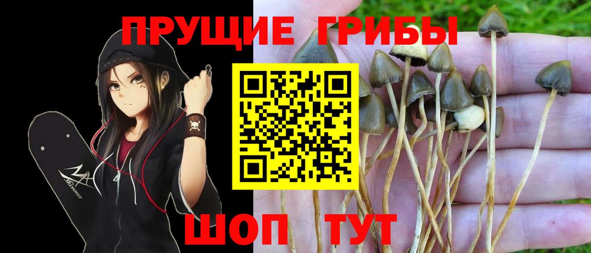 Псилоцибиновые грибы MAGIC MUSHROOMS  цены   Миасс  Вход с VPN 